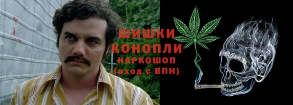 трава Алзамай