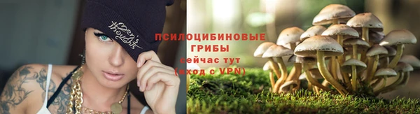 дмт Абаза