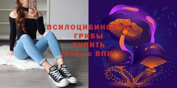 ALPHA-PVP Алексеевка