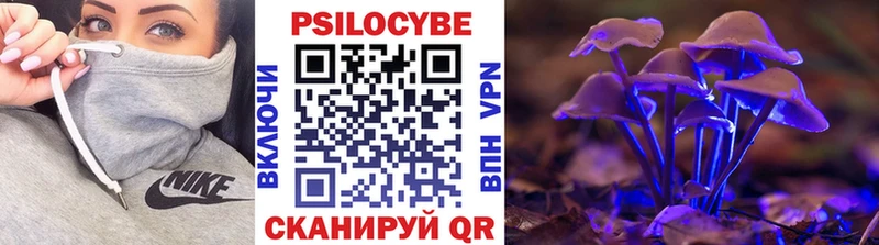 Псилоцибиновые грибы MAGIC MUSHROOMS  Морозовск 